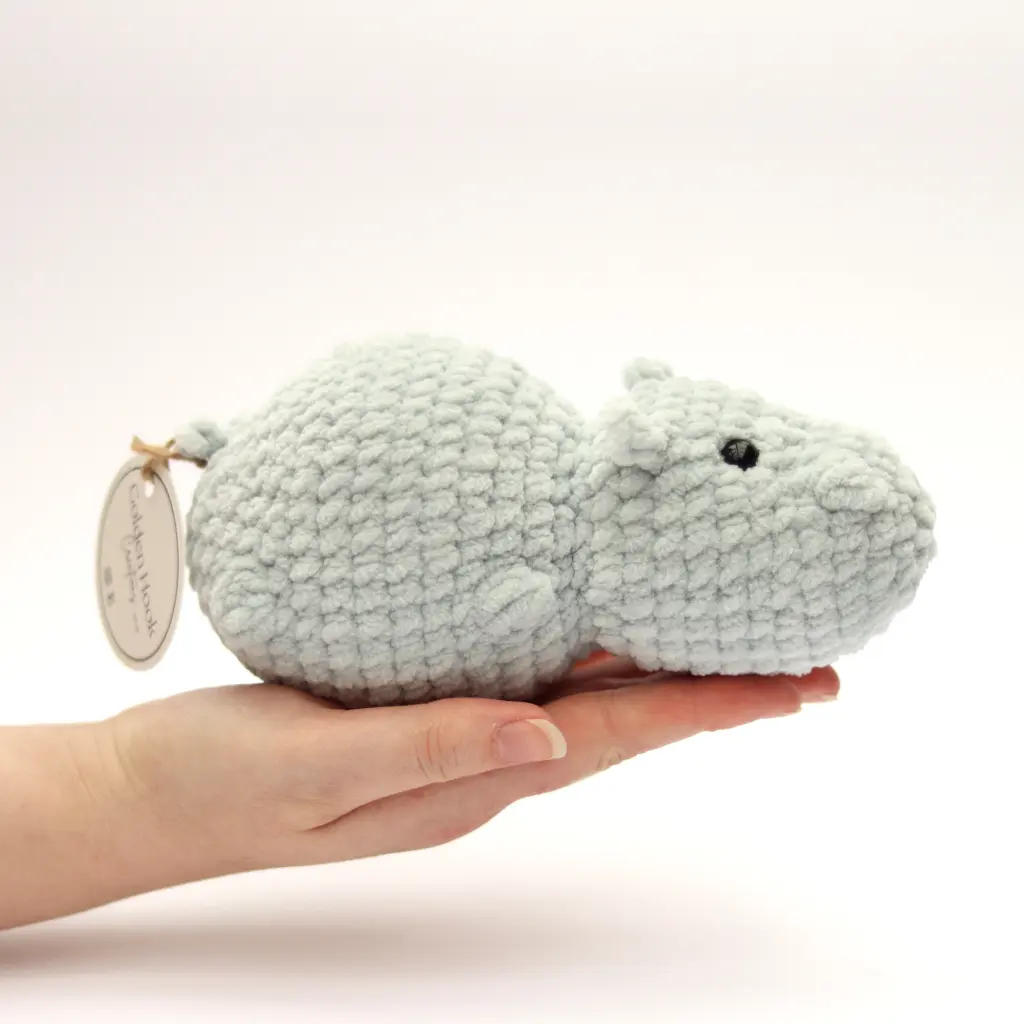 hippo_hand.webp