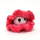 clam_disco_pink.webp