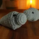 Hippo