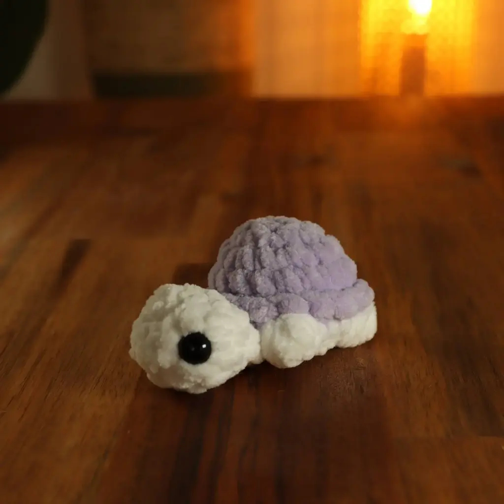 Land Turtle