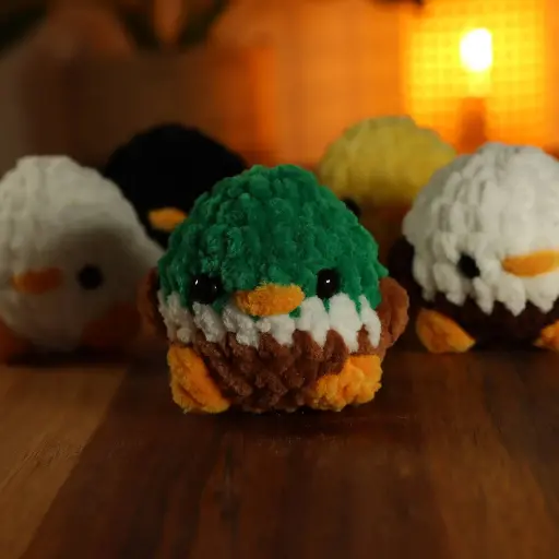 Baby Birds