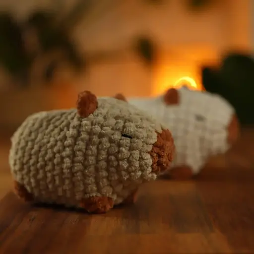 Capybara